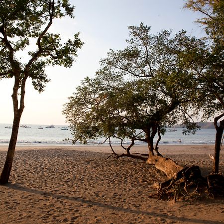 Hotel Bosque Del Mar Playa Hermosa ปลายาเฮอร์โมซา ภายนอก รูปภาพ